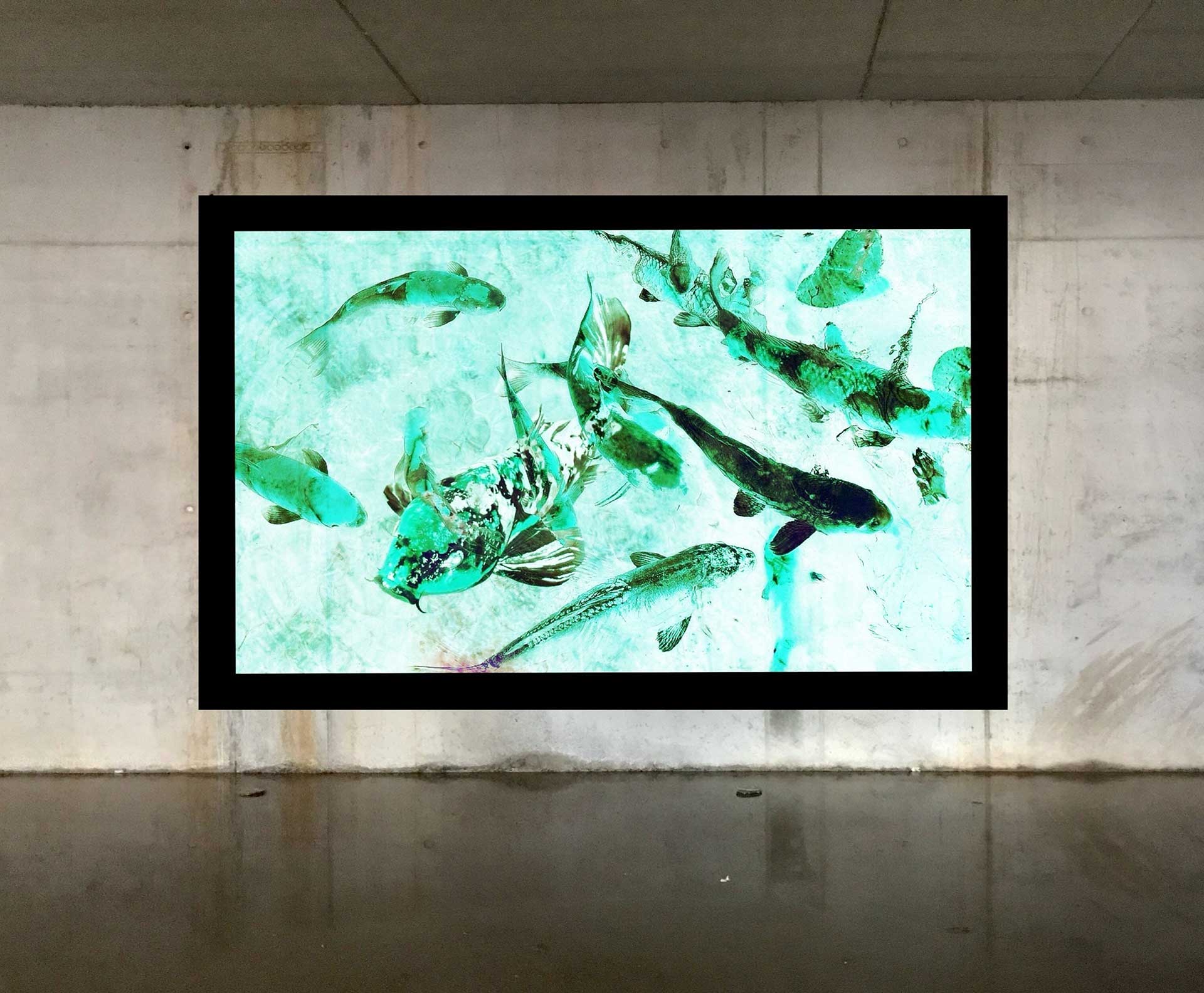 Züzü Art Präsentation - Original Mixed Media Kunstwerk von ZÜZÜ ART am Bodensee